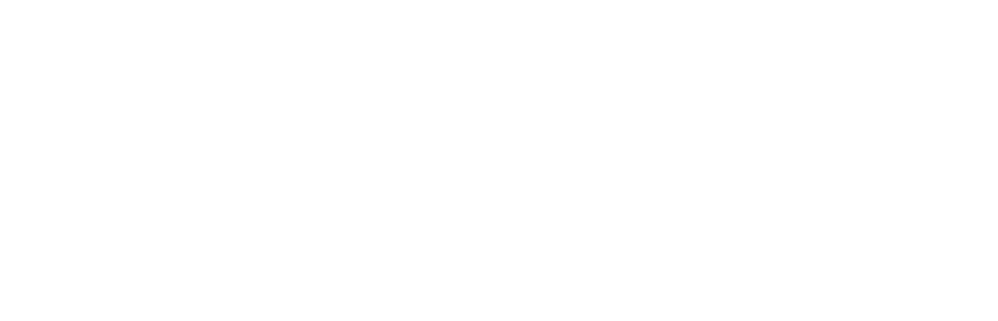 Instituto Intellis